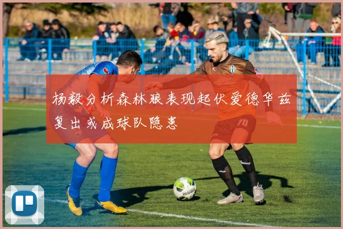 杨毅分析森林狼表现起伏爱德华兹复出或成球队隐患